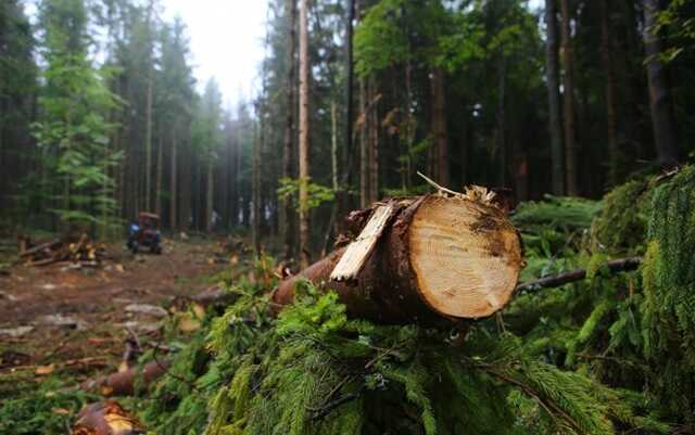 Будівництво Національного військового меморіального кладовища