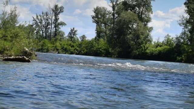 У річці Тиса на кордоні з Румунією виявили тіло чоловіка