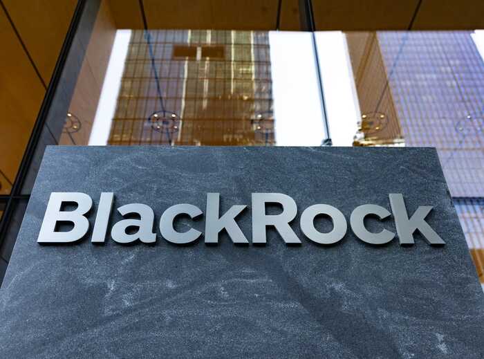 Американська компанія BlackRock припинила пошук інвесторів для відновлення України – Bloomberg