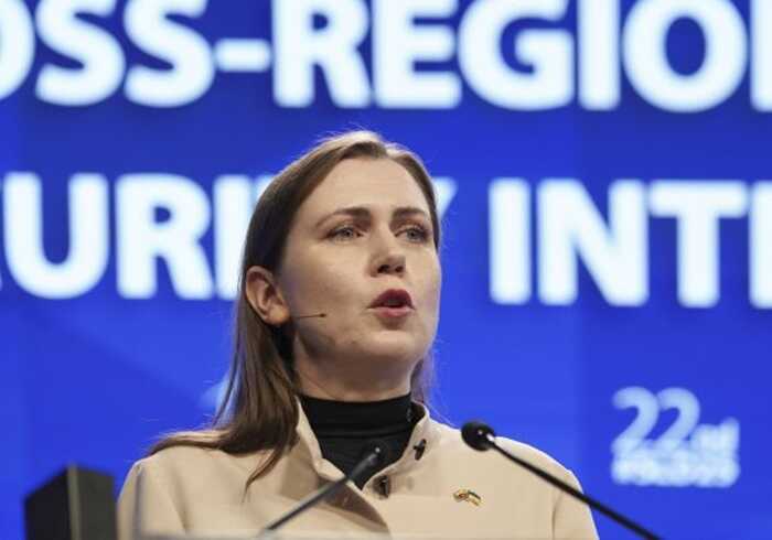 У Литві підтвердили падіння російського дрона "Гербера" на своїй території